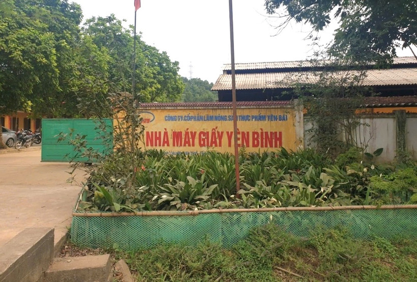 Nhà máy giấy Yên Bình, nơi xảy ra vụ tai nạn lao động khiến một người tử vong. (Ảnh: TTXVN phát)