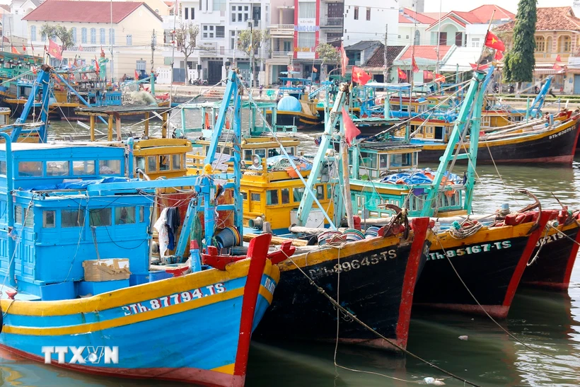 Tại kỳ họp, đại biểu thảo luận, biểu quyết thông qua Nghị quyết của Hội đồng Nhân dân tỉnh về chính sách hỗ trợ phí thuê bao dịch vụ vệ tinh giám sát hành trình tàu cá trên địa bàn tỉnh. Trong ảnh: Tàu cá đánh bắt xa bờ thuộc diện phải lắp đặt thiết bị giám sát hành trình đang neo đậu tại sông Cà Ty, thành phố Phan Thiết (Bình Thuận). (Ảnh: Nguyễn Thanh/TTXVN)