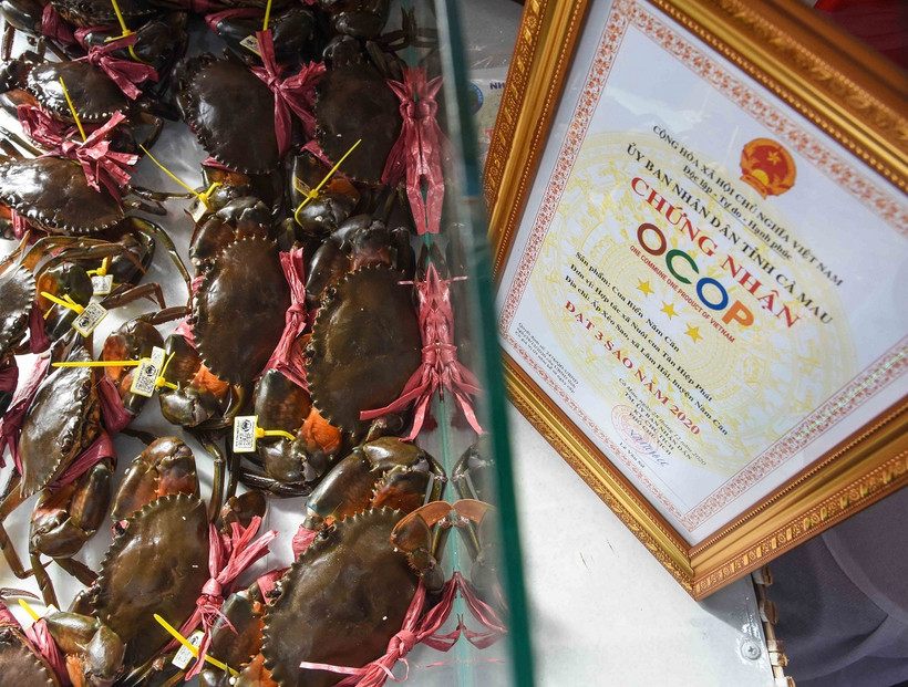 Cua biển Năm Căn, sản phẩm OCOP của tỉnh Cà Mau. (Ảnh: Huỳnh Anh/TTXVN)