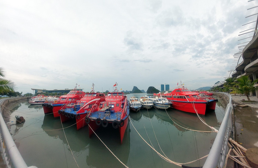 Tàu, thuyền các loại đã về các điểm tránh trú. (Ảnh: Thanh Vân/TTXVN)