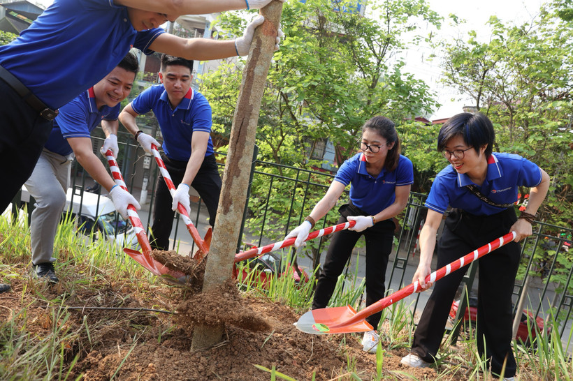 Lữ hành Việt trồng cả nghìn cây hoa ban tri ân mảnh đất Điện Biên anh hùng. (Ảnh: CTV/Vietnam+)