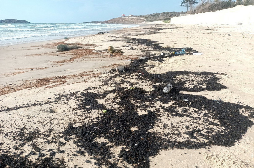 Dầu vón cục trôi dạt vào bãi biển Mũi Né, thành phố Phan Thiết, tỉnh Bình Thuận. (Ảnh: Nguyễn Thanh/TTXVN)