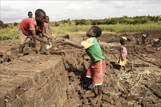 Ảnh minh họa. (Nguồn: AFP/TTXVN)