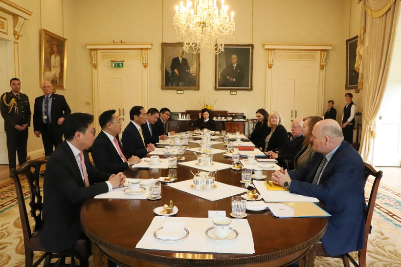 Bộ trưởng Ngoại giao Bùi Thanh Sơn hội kiến Tổng thống Ireland Michael D. Higgins. (Ảnh: Phong Hà/TTXVN)