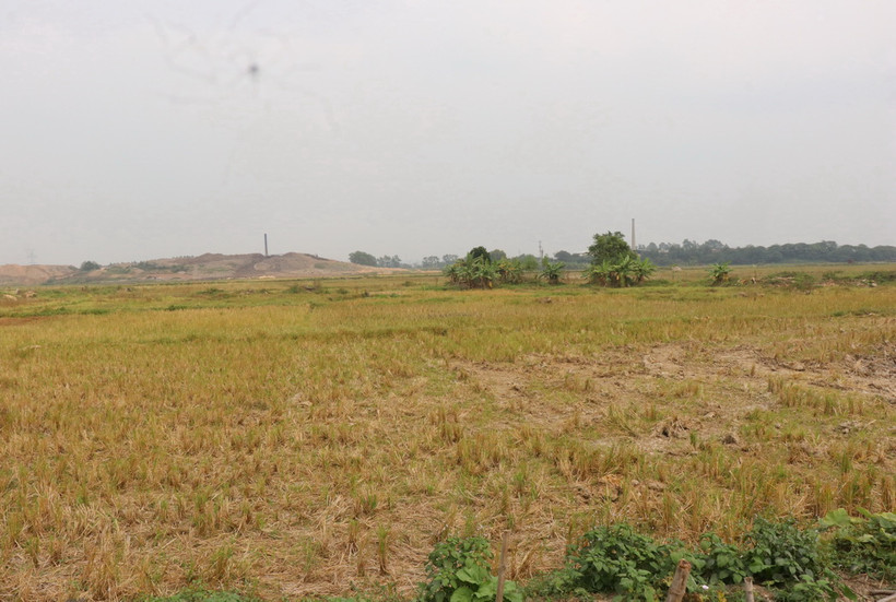 Ảnh minh họa. (Nguồn: TTXVN)