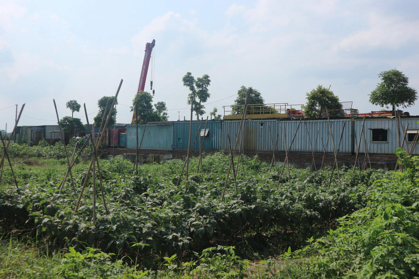 Đất nông nghiệp ở xã Song Phương, huyện Hoài Đức, Hà Nội bị sử dụng sai mục đích. (Ảnh Mạnh Khánh/TTXVN)