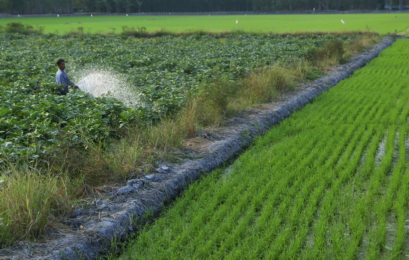 Ảnh minh họa. (Nguồn: TTXVN)