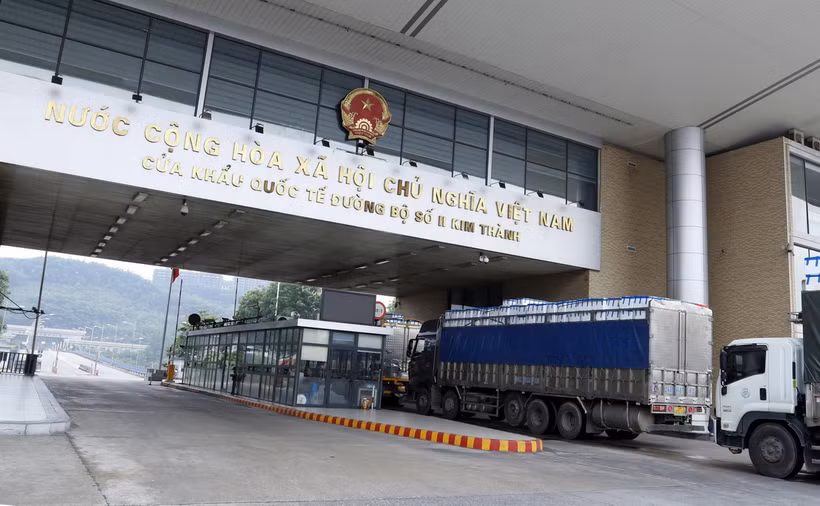 Các phương tiện chở quả vải tươi chờ làm thủ tục xuất khẩu sang Trung Quốc qua Cửa khẩu Quốc tế Đường bộ số II Kim Thành. (Ảnh: Quốc Khánh/TTXVN)