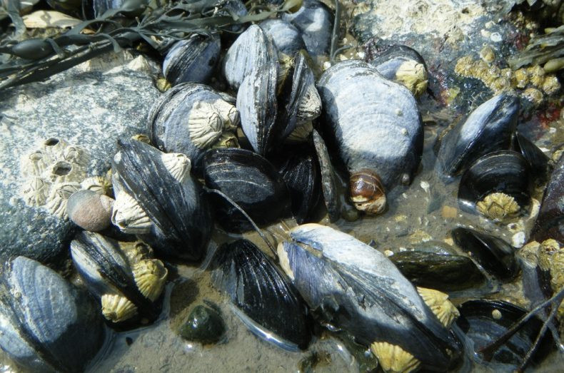 Ảnh minh họa. (Nguồn: Clean Malaysia)