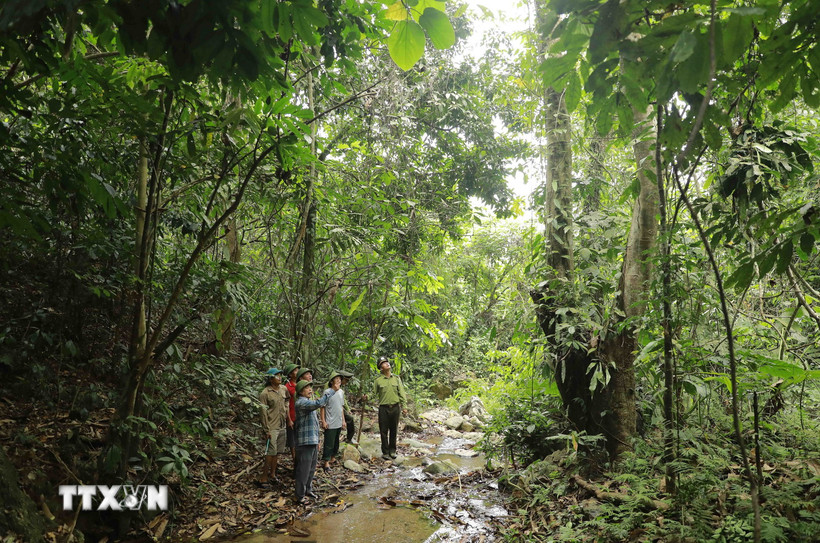 Ảnh minh họa. (Nguồn: TTXVN)