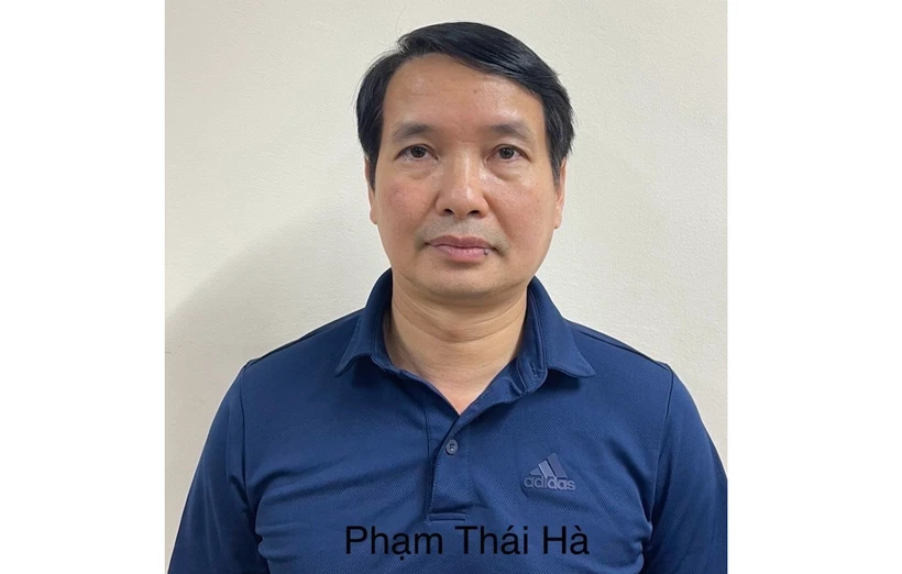 Bị can Phạm Thái Hà. (Ảnh: TTXVN phát)