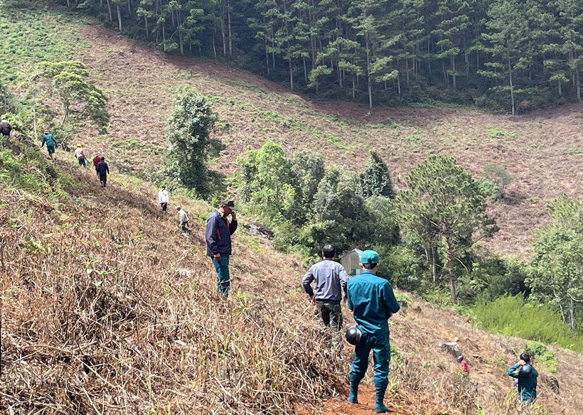 Khu vực bị giải tỏa rộng 3,5ha trồng nhiều loại cây nông nghiệp lấn chiếm đất rừng. (Ảnh: TTXVN phát)