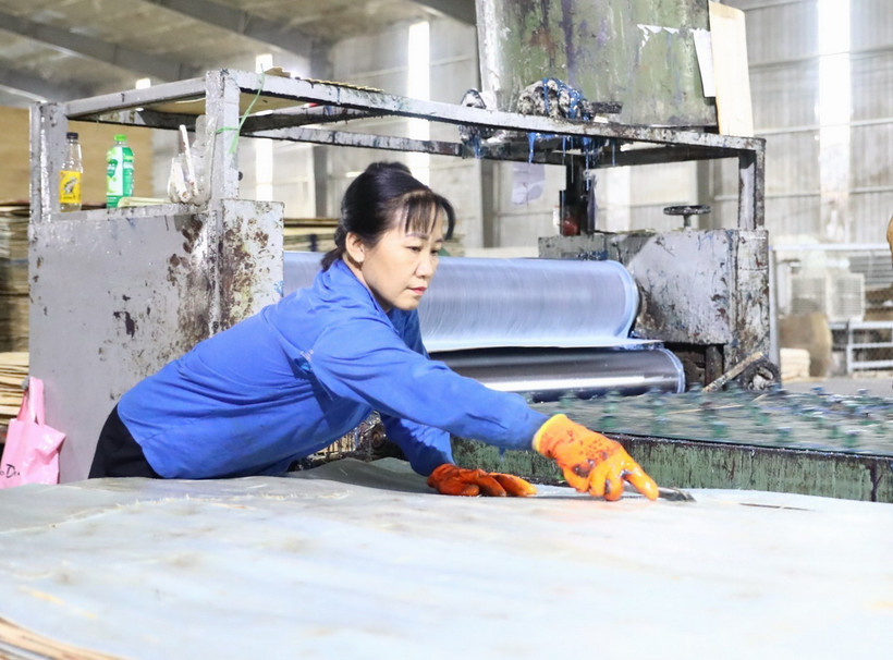 Nghị định 143/2024/NĐ-CP quy định cụ thể điều kiện hưởng chế độ bảo hiểm tai nạn lao động tự nguyện. (Ảnh minh họa. Nguồn: TTXVN)