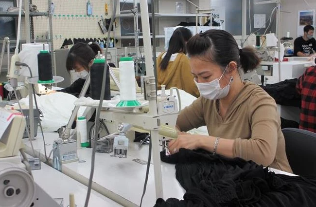 Một thực tập sinh Việt Nam tại Nhật Bản. (Ảnh: Đào Thanh Tùng/TTXVN) 