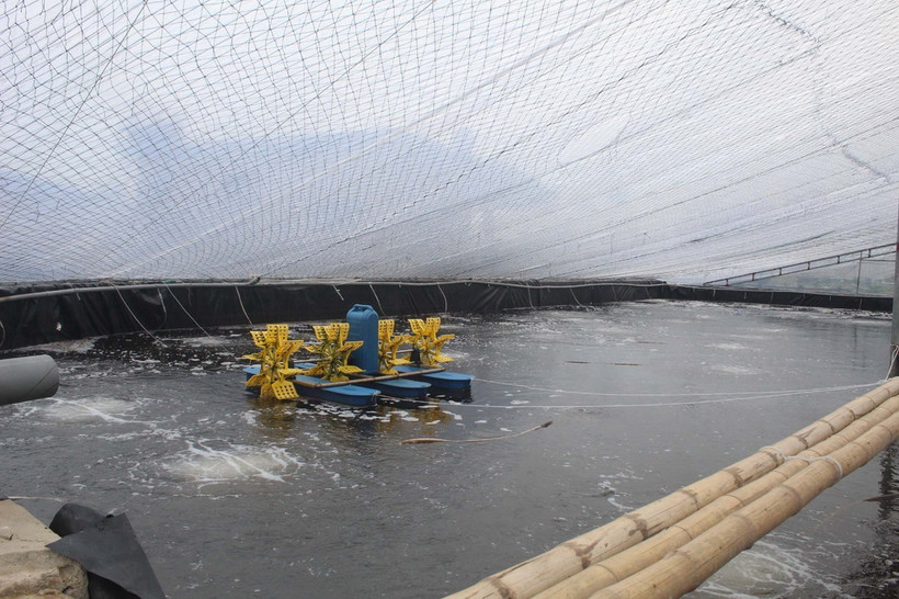 Một bể nuôi tôm trái phép tại phố Đông Hải, phường Hải Hòa, thị xã Nghi Sơn. (Ảnh: Nguyễn Nam/TTXVN)