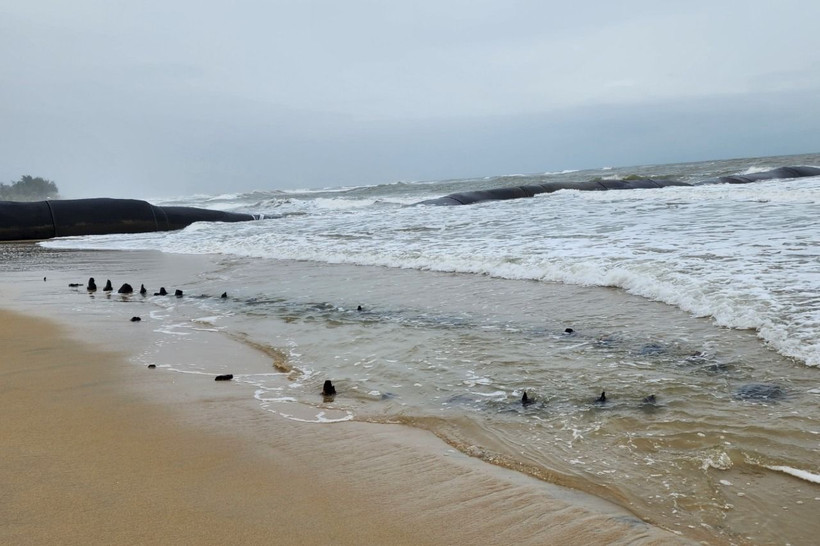 Xác con tàu nghi là tàu cổ nằm sát bờ biển. (Nguồn: Pháp luật Thành phố Hồ Chí Minh)