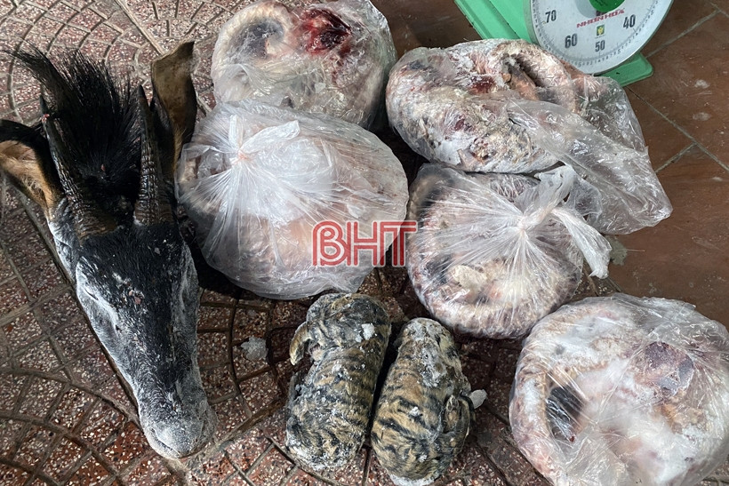 Tang vật thu giữ của Trần Anh Tuấn. (Nguồn: Báo Hà Tĩnh)