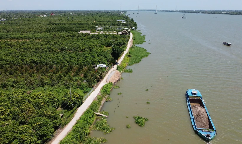 Sụt lún, sạt lở 'tấn công' sát vào đường đê bao cồn Ông, xã Tân Khánh Trung, huyện Lấp Vò. (Ảnh: Nhựt An/TTXVN)