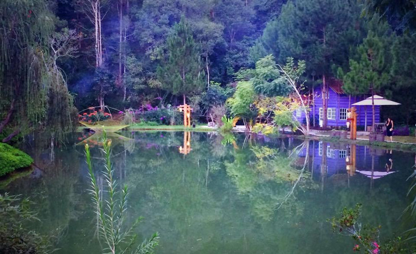 Khu du lịch Ma rừng lữ quán ở Đà Lạt hấp dẫn du khách nhờ không gian xanh và không khí trong lành. (Ảnh: PV/Vietnam+)