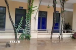 Trường Tiểu học Lưu Kiền 2 (xã Tương Dương) bị ngập trong mưa lũ. (Ảnh: TTXVN phát)