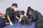 Các quy trình sau khi khai quật hài cốt liệt sỹ được thực hiện cẩn thận, tỉ mỉ, khoa học, đảm bảo an toàn. (Ảnh: Xuân Khu/TTXVN)