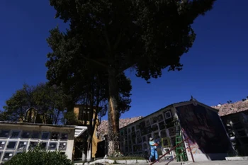 Vụ tai nạn xảy ra tại khu vực cách thủ đô La Paz khoảng 380 km về phía Đông Nam. (Ảnh: CTV News)