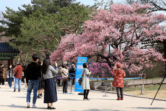 Hàn Quốc: Thu nhập hộ gia đình tăng kỷ lục nhờ đà phục hồi kinh tế ảnh 1