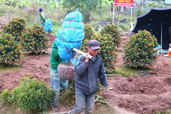 ttxvn_quat nam phong 2.jpg