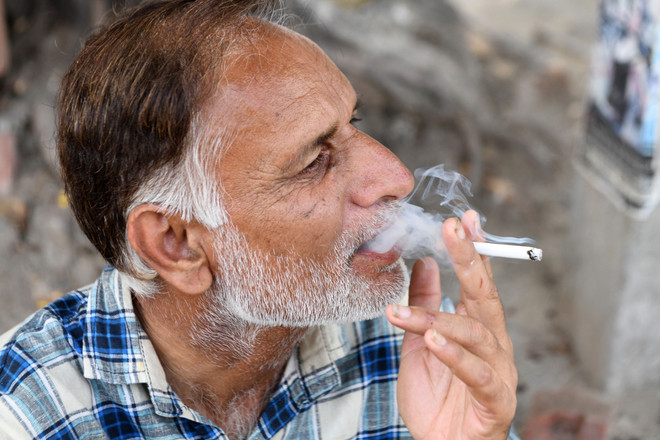 Nói "Không" với thuốc lá để bảo vệ môi trường sống của chúng ta ảnh 2