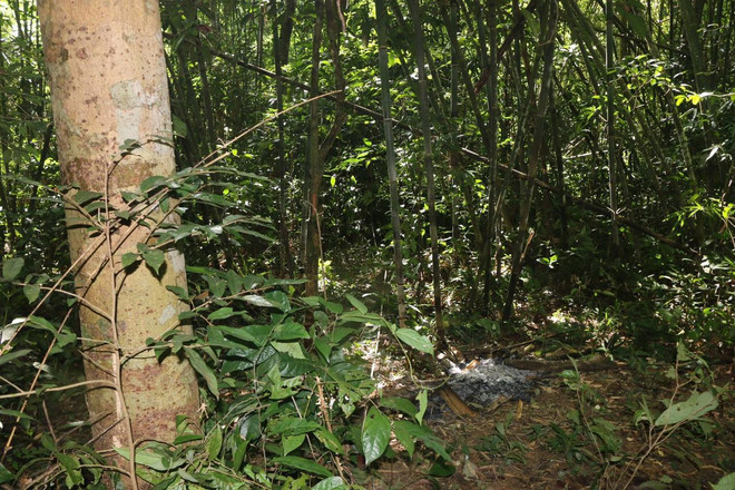 Bình Phước: Nam thanh niên tử vong nghi do trúng đạn khi đi săn ảnh 1