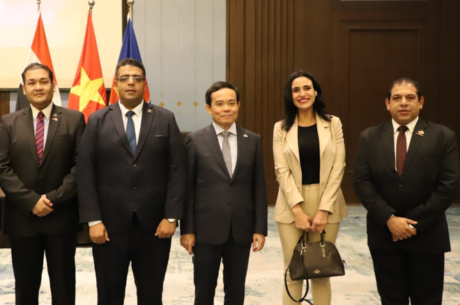 Quan hệ Việt Nam-Ai Cập được xây dựng trên nền tảng vững chắc ảnh 2