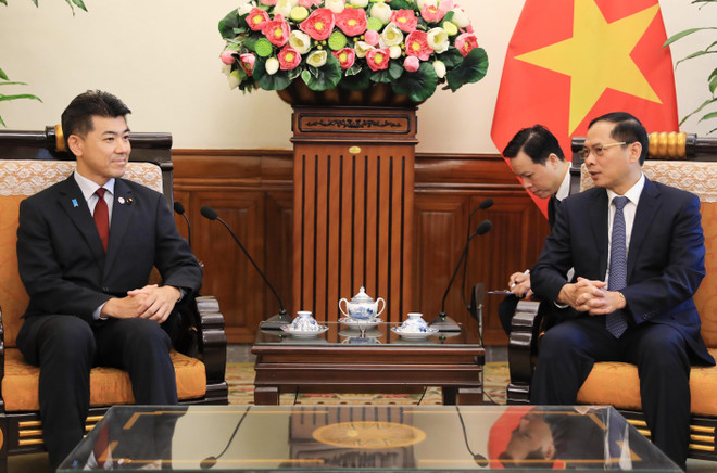 Bộ trưởng Bộ Ngoại giao tiếp Chủ tịch Đảng Dân chủ Lập hiến Nhật Bản ảnh 2