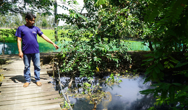 Đồng Tháp: Người dân sống bên rạch Ông Ấu "kêu trời" vì nước ô nhiễm ảnh 2