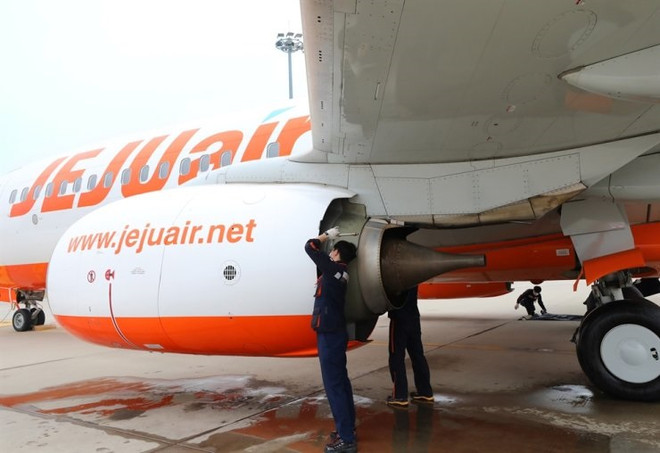 Hàn Quốc: Bắt giữ hành khách đang tìm cách mở cửa máy bay trên không ảnh 1