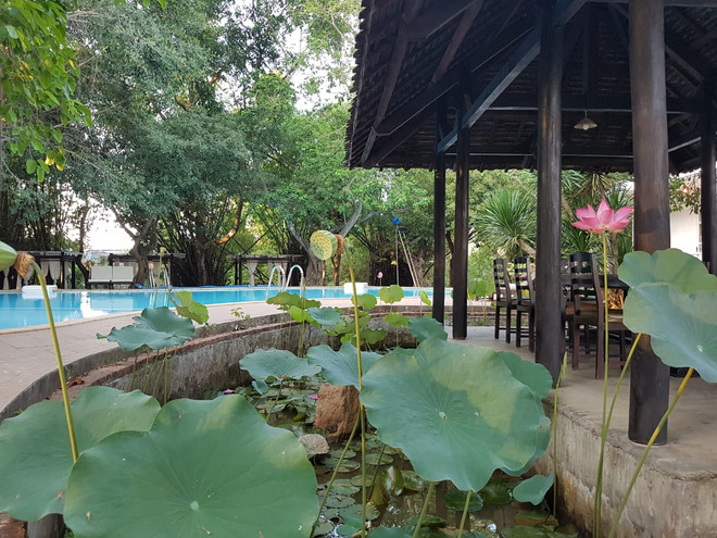 Chiêm ngưỡng vẻ đẹp của những công trình mang tên Léman ảnh 7