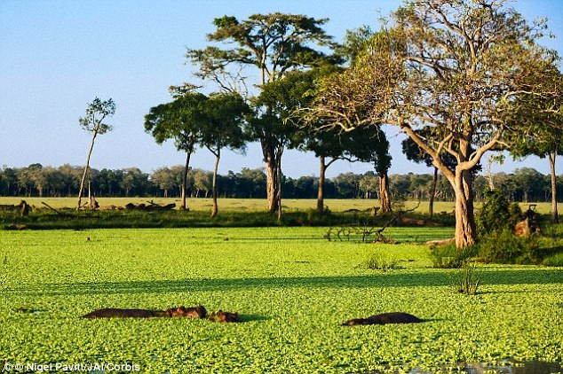 Biến đổi khí hậu tạo ra bước tiến hóa nhảy vọt của con người ảnh 2