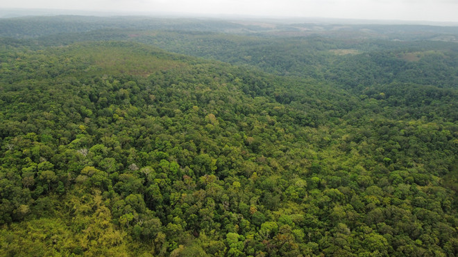 Đắk Nông: Dịch vụ môi trường rừng chiếm hơn 70% mức đầu tư lâm nghiệp ảnh 1