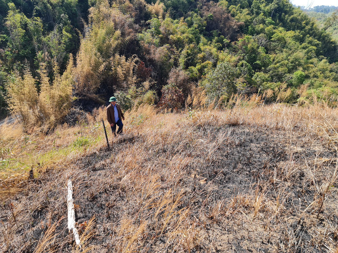 Đắk Nông: Dịch vụ môi trường rừng chiếm hơn 70% mức đầu tư lâm nghiệp ảnh 3