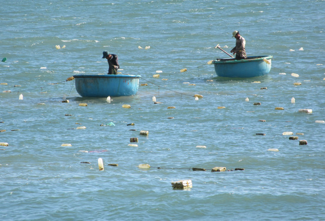 Quảng Ngãi: Một ngư dân mất tích khi đang câu mực trên biển ảnh 1