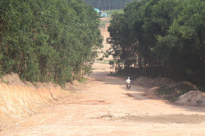 Quảng Trị yêu cầu khắc phục việc đào đất rừng trái phép quy mô lớn ảnh 2