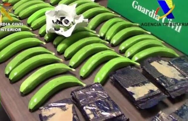 Đức: Bất ngờ tìm thấy 4,5kg cocaine bị vứt trong thùng rác ảnh 1