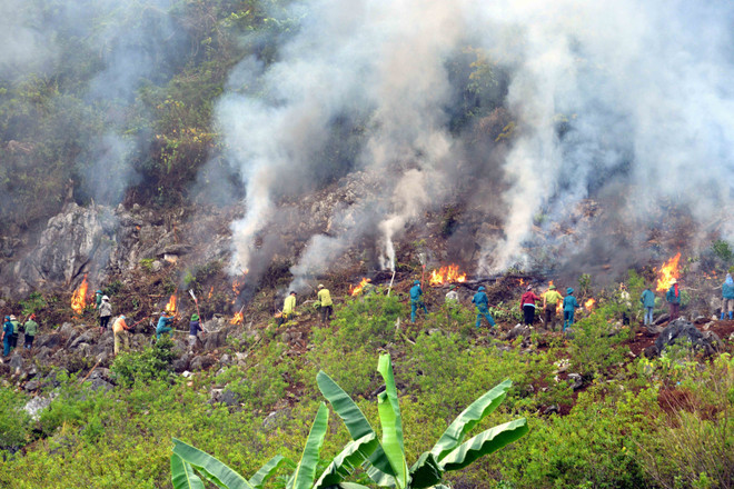 Kon Tum: làm rõ nguyên nhân vụ cháy rừng trồng làm hai người tử vong ảnh 1