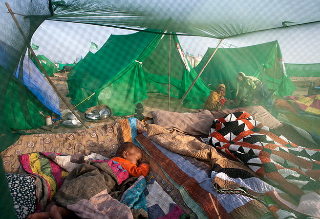 Nguy cơ lây lan bệnh sốt rét cao ở 10 quốc gia châu Phi ảnh 1