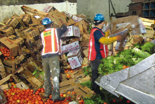 Canada lãng phí lượng thực phẩm lên tới 31 tỷ USD mỗi năm ảnh 1