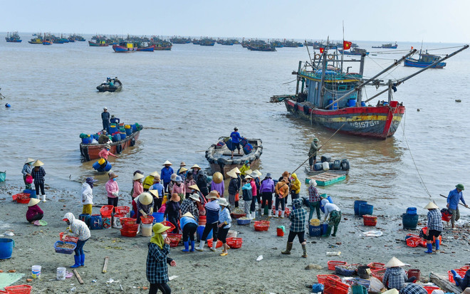 Cảng cá Ngư Lộc tấp nập hoạt động thu mua hải sản ngày giáp Tết ảnh 1