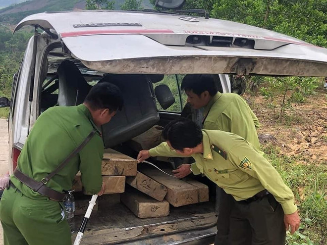 Quảng Ngãi: Liên tiếp phát hiện các xe chở gỗ lậu không có chủ ảnh 1