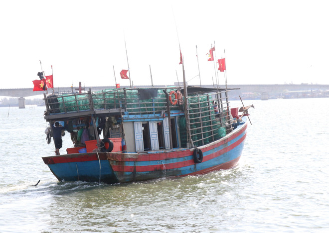Được mùa biển nhưng ngư dân vẫn kém vui do chi phí đi biển tăng ảnh 1