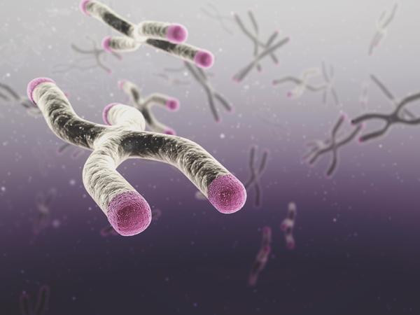 Italy: Phát hiện bạo hành và lạm dụng qua xét nghiệm ADN ảnh 1