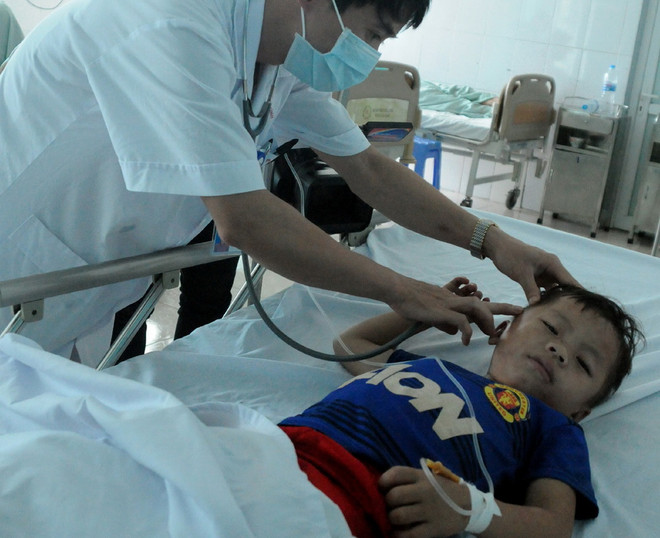 Ong rừng vỡ tổ tấn công lớp học mầm non, nhiều học sinh nhập viện ảnh 1