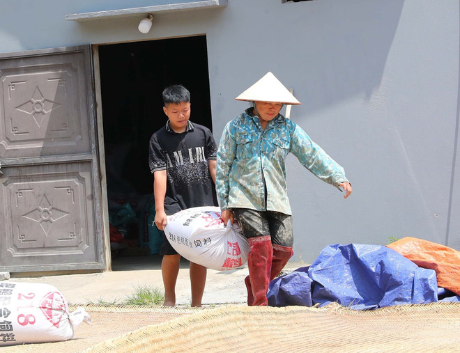Chị Vi Thị Thoa ở thôn Nậm Khoang, xã Đội Cấn, huyện Tràng Định phơi thóc sau thu hoạch trên diện tích đất ở được xã cấp (sau khi đã hoàn thiện việc rà phá bom mìn, vật liệu nổ). (Ảnh: Trọng Đức/TTXVN) Những tiếng nổ sau chiến tranh: Nỗi đau dai dẳng, xé lòng ảnh 3